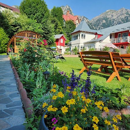 Casa Turta Dulce Hotel Busteni Ngoại thất bức ảnh